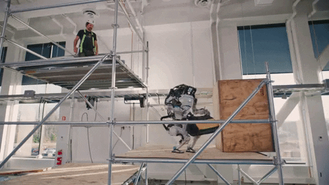 The Atlas robot in action helping worker
